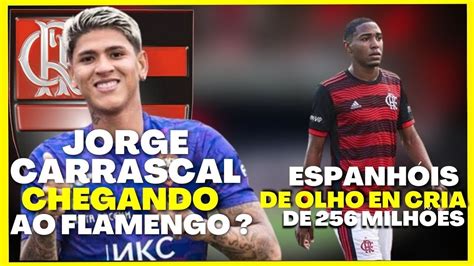 ULTIMA HORA FLAMENGO QUER MEIO CAMPISTA E JÓIA DA BASE ENCANTA