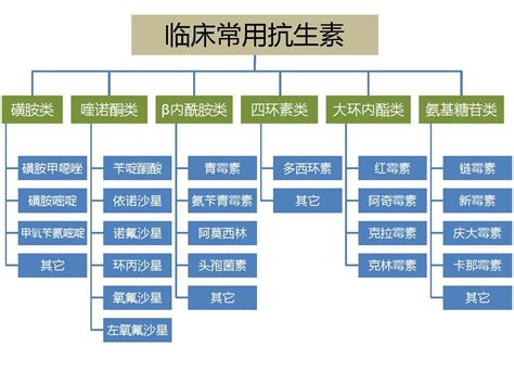 抗生素分类及用药建议word文档在线阅读与下载免费文档