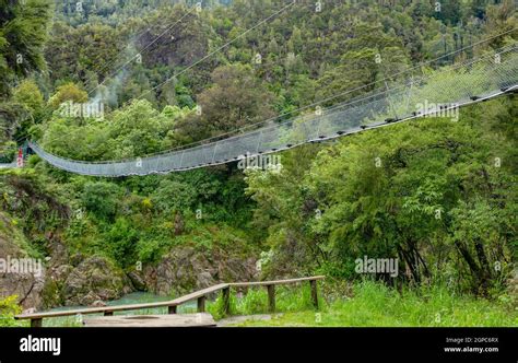 Scenery around the Buller River including the buller gorge swingbridge ...