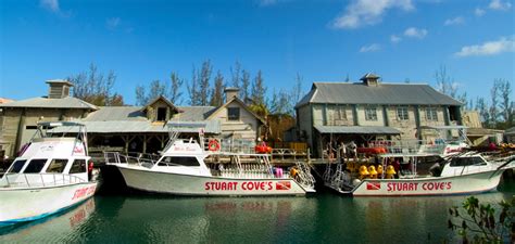 Stuarts Cove Multi Day Dive Package