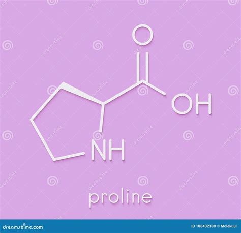 Proline L Proline Pro Amino Acid Molecule Skeletal Formula Stock