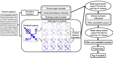 Automated Contact Distance Based Ab Initio Protein Structure Prediction