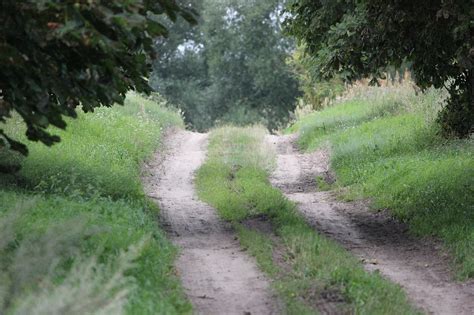 Chemin Forestier Glade Des Arbres Photo Gratuite Sur Pixabay Pixabay