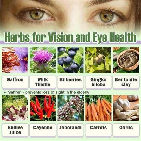 Twitter Dailyhealthtips Herbs For Vision And Eye Eye Health Food Eye Health Herbs