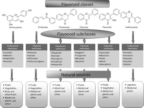 Keragaman Dan Keunikan Struktur Kimia Flavonoid E Chemistry