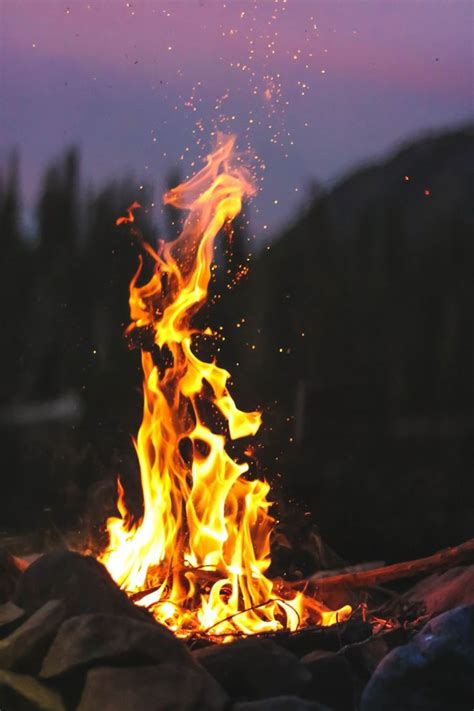 49 Zoom Background Campfire Ideas