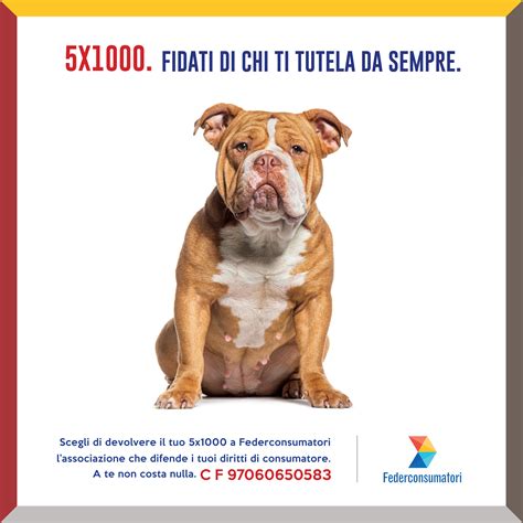 Dona Il Tuo 5X1000 Alla Federconsumatori Federconsumatori Marche