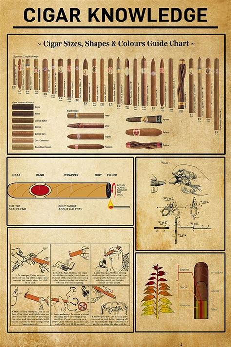 Cigar Knowledge Cigar Lover Poster Digital Art By Kailani Smith Pixels