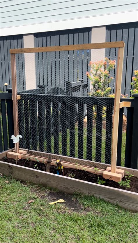 How To Build A Simple Wire Garden Trellis