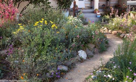 California native garden, Native garden, Garden