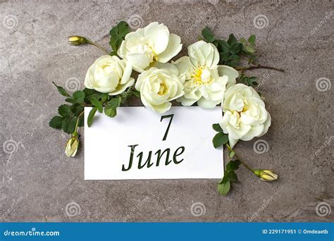 June 7th Day 7 Of Month Calendar Date White Roses Border On Pastel