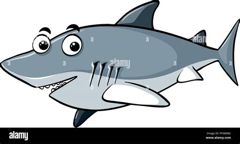 Tiburón gris sobre fondo blanco ilustración Imagen Vector de stock Alamy