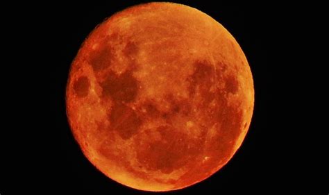 All alba del 21 gennaio ci sarà la Luna Rossa grazie all unica