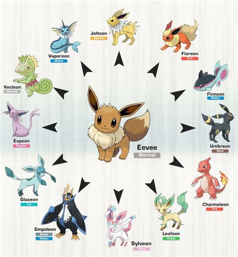 Pokemon Evolution Chart Eevee