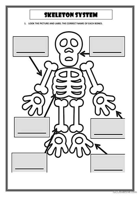 38 Skeleton English Esl Worksheets Pdf And Doc