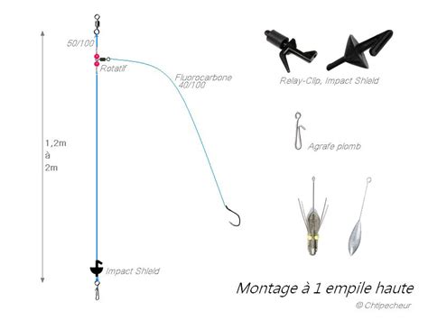 Comment pêcher le bar en surfcasting