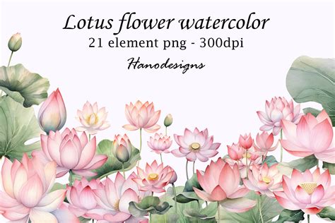 Lotus Flower Watercolor Graphic by Hanodesigns · Creative Fabrica