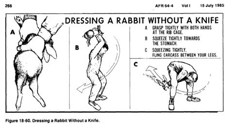 How to Skin a Rabbit | Outdoor Life