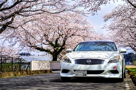 スカイラインクーペの桜と愛車・桜とコラボ・桜・ckv36・スカイラインクーペに関するカスタム事例｜車のカスタム情報はcartune