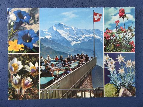 Ak Beo Hotel Schynige Platte Terrasse Belebt Alpenblumen Kaufen Auf