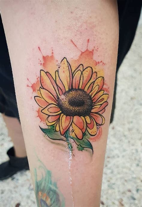 Celebrate The Beauty Of Nature With These Inspirational Sunflower