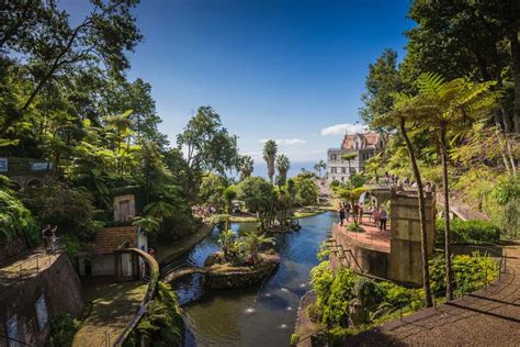 Funchal Giardino Tropicale Del Monte E Giro In Toboga Con Il Tuk Tuk