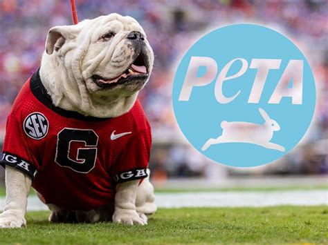 PETA Urges Georgia Bulldogs To Retire 'Uga' Live Mascot