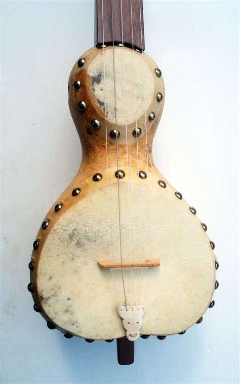 Gourd Banjo Diy Instruments Custom Electric Guitars Gourds