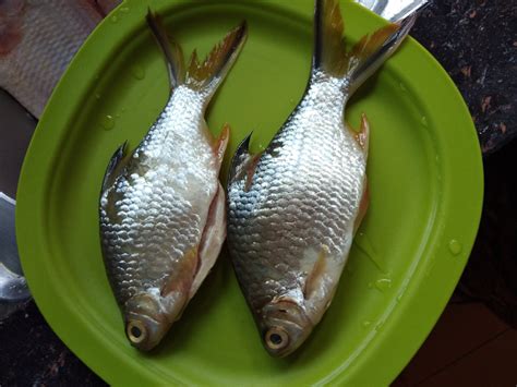 Asam Garam Kehidupan Jom Makan Ikan Sungai