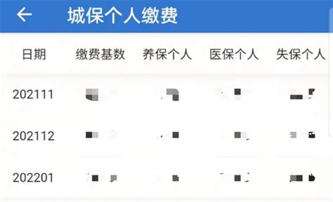 上海个人社保缴费基数怎么查询 上海本地宝