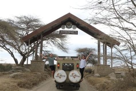 5 Days Best Of Tanzania Luxury Safari Northern Circuit Lion King