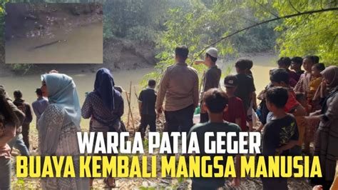 Buaya Raksasa Serang Warga Di Kecamatan Patia Kejadian Sudah Kali