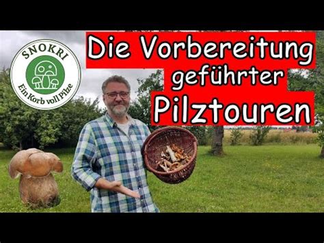 Wie Bereite Ich Gef Hrte Pilze Touren Vor Pilze Special Youtube