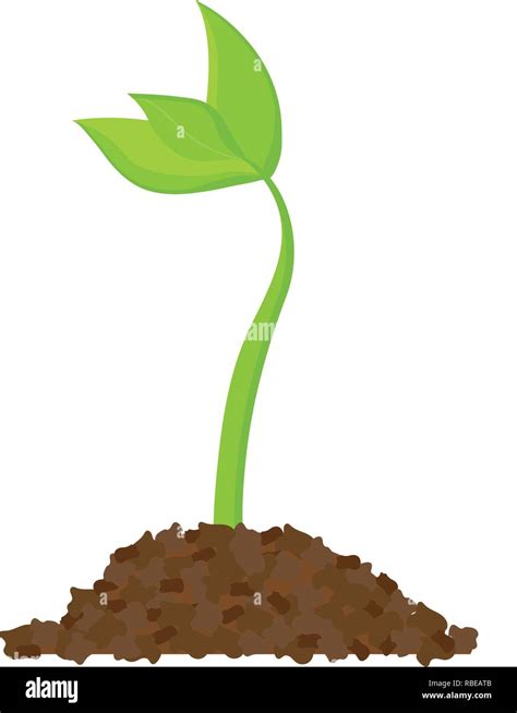 Simple sprouting seed drawing. Sprout, plant, tree growing agriculture icons. Vector ...