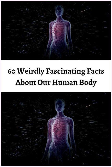 60 weird and freaky facts about the human body – Artofit