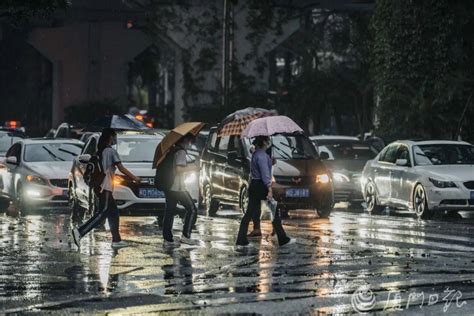 紧急提醒！启动防御暴雨洪水应急响应！同安