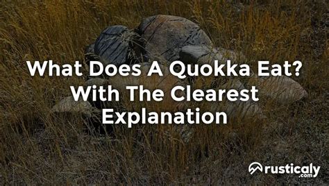 What Does A Quokka Eat? Everything You Need To Know