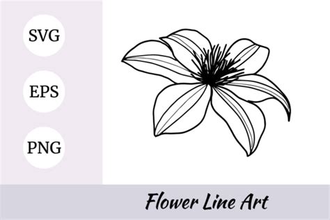 Lineart Clematis Flower Svg Graphic By Nurdesign99 · Creative Fabrica