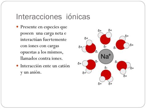 Ppt Interacciones Moleculares Y Su Importancia En Los Procesos