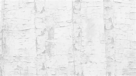 Birch Bark Texture With An Embossed Effect Exhibiting Shades Of Gray