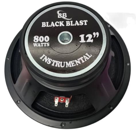 BLACK BLAST 12 Instrumental Speaker 800W WITH FREE SCREEN MESH Lazada PH