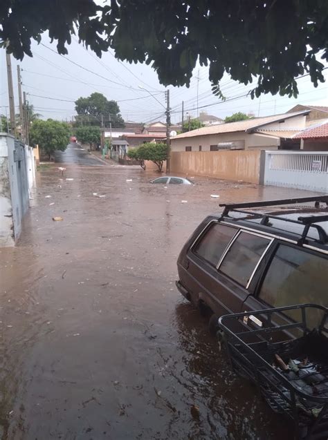 Chuva Causa Alagamentos Derruba árvores E Provoca Estragos Em