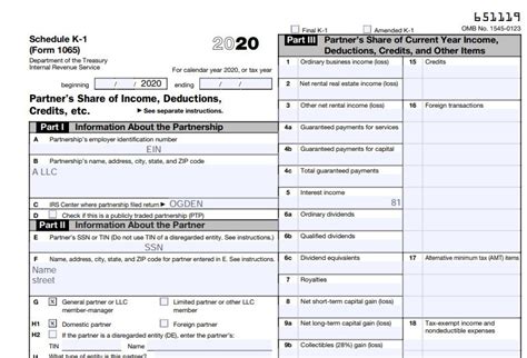 How to Complete 2020 Form 1065 Schedule K-1 – Nina's Soap