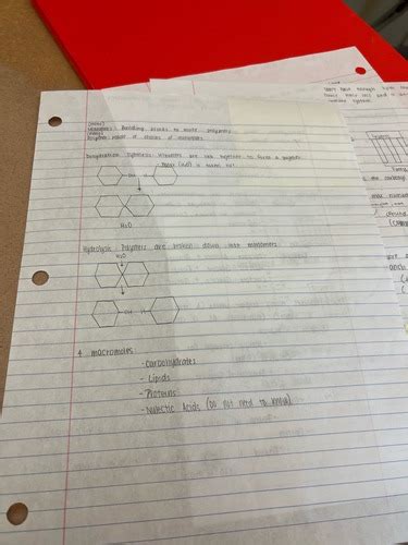 Biochemistry Flashcards Quizlet