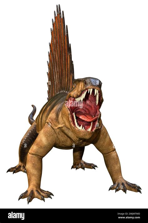 3d Rendering Of A Dinosaur Dimetrodon Isolated On White Background