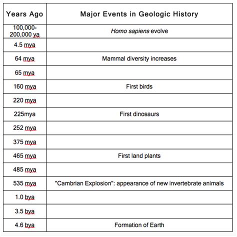 Geologic Time Scale Diagram Quizlet