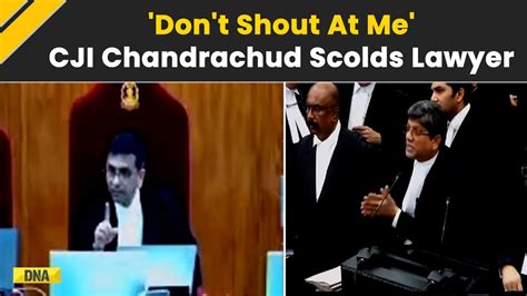 Watch CJI Chandrachud Gets Angry Says No Shouting Allowed In The