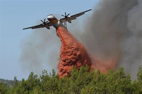 Risques dincendies de cet été comment le Maine et Loire se prépare