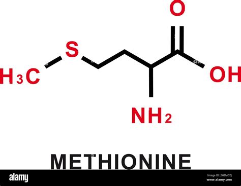 Methionine chemical formula. Methionine chemical molecular structure ...