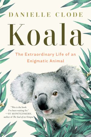 Koala | Danielle Clode | W. W. Norton & Company